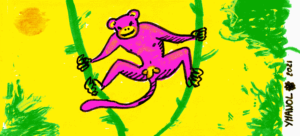 illustrations au stylo et posca d'un singe